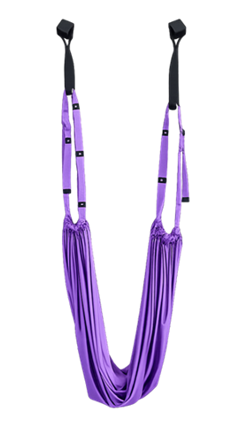 Transfer & Gait Belt in use