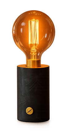 Edison Globe Rechargeable Desk Lamp